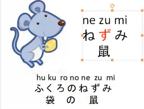 零基础入门培训教程十二生肖中的老鼠的日语发音