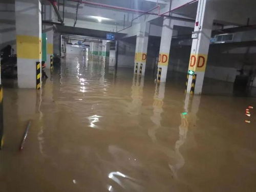 讨论 桂林多个小区地下室被淹,物业该承担责任吗