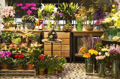 花店里常见的花及花名