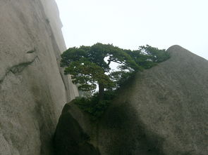 安庆潜山天柱山风景区游记