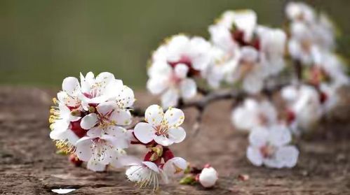 5月下旬,十二星座运势红榜如下,双子座被幸运眷顾,会有惊喜