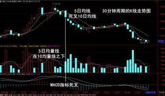 连续涨停出现锤型K线是什么意思