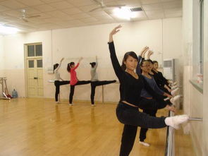 舞蹈训练基本功应该按什么顺序练,是先压腿还是先踢腿 