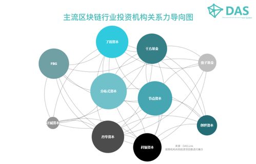 公有链和Token-token里面包含什么信息