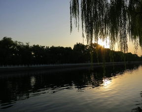 北国的秋天 午后 黄昏 夜晚