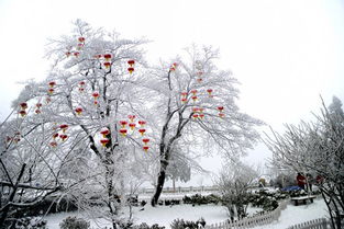 庐山观雪景 赏雾凇 打雪仗 迎新年四日游 庐山瀑布,庐山之恋