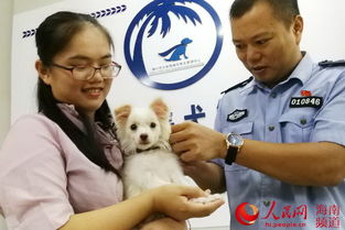 互联网 养犬 海口养犬可网上办理养犬登记证