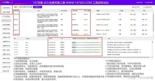 新云cms网站网站采集站群系统