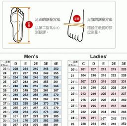 怎么知道自己脚的尺码 如何选择适合自己尺码的鞋子