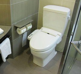 在日本公共厕所,还有另外一个名字叫 便所饭 