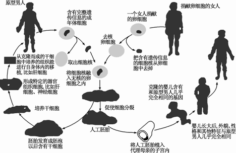 为什么现在很少提 克隆 了 看下 多莉 的一生,或许你会明白