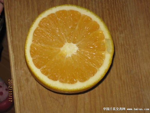 正盛花材的橙子真甜 
