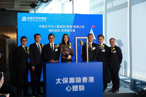 中国太保“保险服务”专区亮相中国国际进口博览会官网