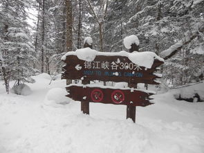 雪遇 一梦到长白