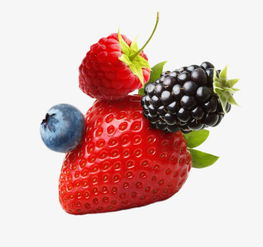 草莓蓝莓桑葚水果素材图片免费下载 高清png 千库网 图片编号7732851 