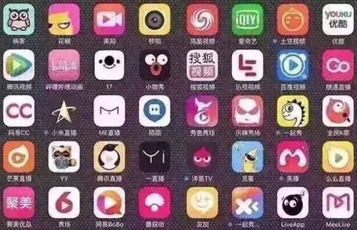 ios直播开发视频,如何开发一款iOS和Android直播APP