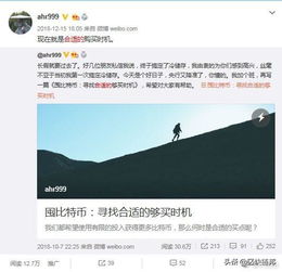 囤几个比特币合适,持有多少比特币才能成为“比特币鲸鱼”？100个比特币就够了？