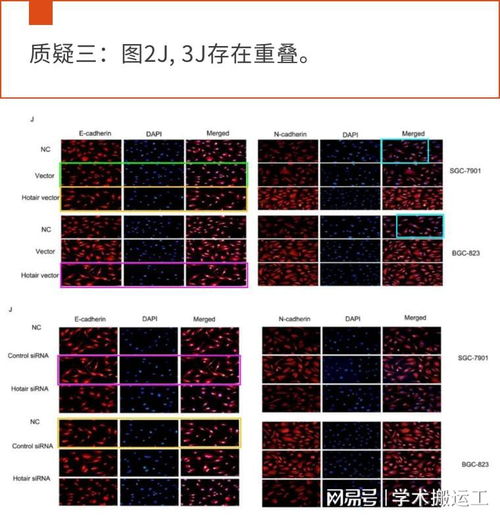 论文查重时，目录是否计入查重范围？看完这篇就明白了