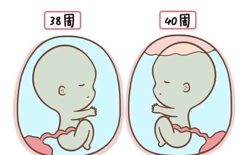 孕期若出现这些症状,多半说明羊水不足,孕妈别粗心大意,要重视