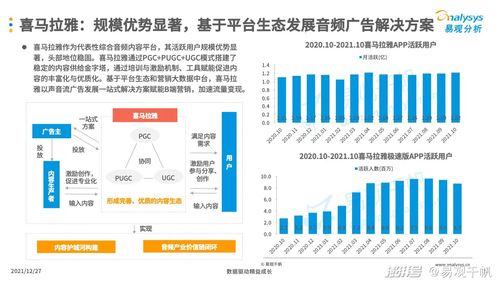 2021年中国互联网广告市场年度分析