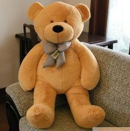 谁知道泰迪熊在西安哪里有卖 