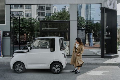 八万内最好电动汽车