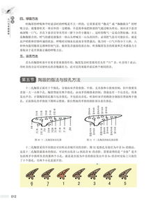 陶笛的来历简介20字