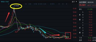 金安国纪股票为什么又落到20多