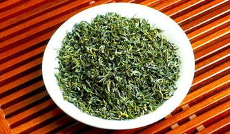 日照绿茶文化(日照绿茶文化宣讲)