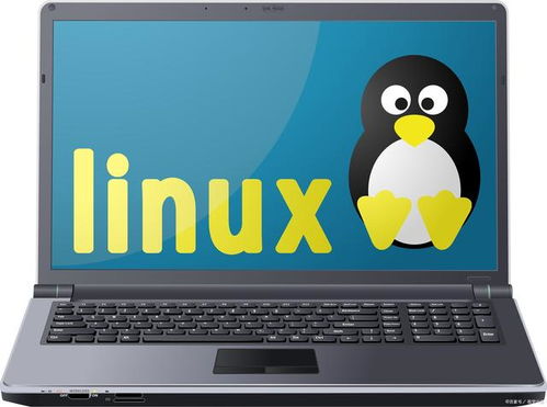 电脑linux系统,开源、高效、稳定的计算机操作系统