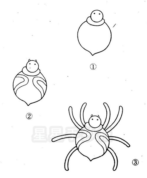 怎么画简笔画蜘蛛,少儿简单漂亮美术大全可爱简笔画蜘蛛-第4张图片