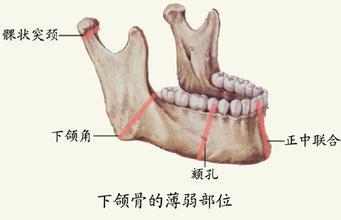 表情 关注颞下颌关节紊乱病,关注口腔健康 知乎 表情 