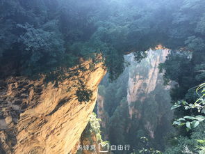 张家界资深三日游 张家界山顶有神仙