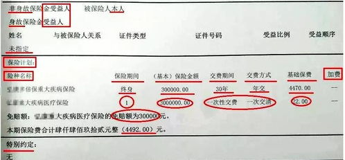 怎样查看保险合同 (被保险人怎么拿到保险合同)