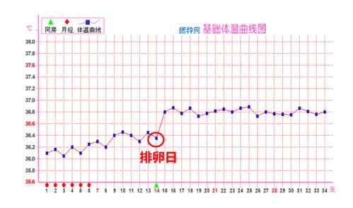 怎么用可丽蓝笑脸棒测排卵期