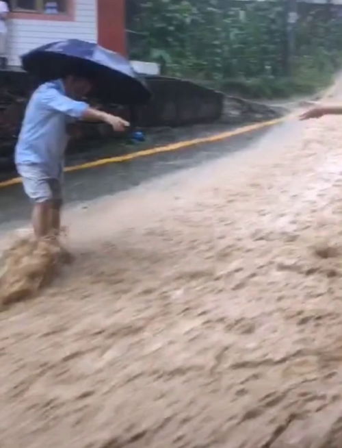 洪水的危害,洪水给人类带来了那些严重的危害？