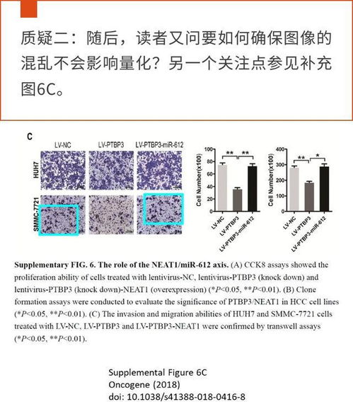 论文查重检测稿范文解析，让您更懂论文撰写之道