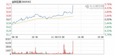 金财互联11月13日快速上涨
