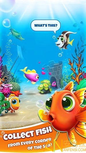 梦幻水族馆：海洋生命的璀璨乐园-第1张图片-捷梯游戏网