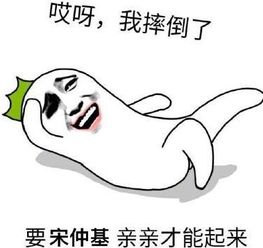 饭圈里说的RS是什么意思啊 