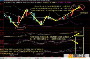 回调时可以建个底仓，保持5仓是什么意思