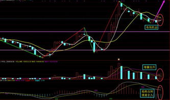 B站股价上涨超过3%，原创动画投入将持续增加