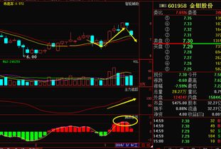 金钼股份明天还继续下跌吗?