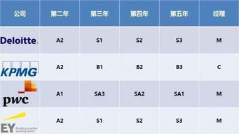 天津会计事务所区域助理工资多少