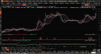 保利今天分红，帐里里没有应该分到的股票，还有一个参考盈亏、一个浮动盈亏，请问是什么意思啊？