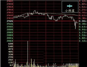 在行情软件在什么位置输入股票代码就可以搜索到该股票K线图？