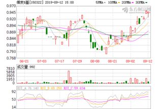 150322股票是卖煤的，以后大家都不烧煤炭了。还有东西烧吗？