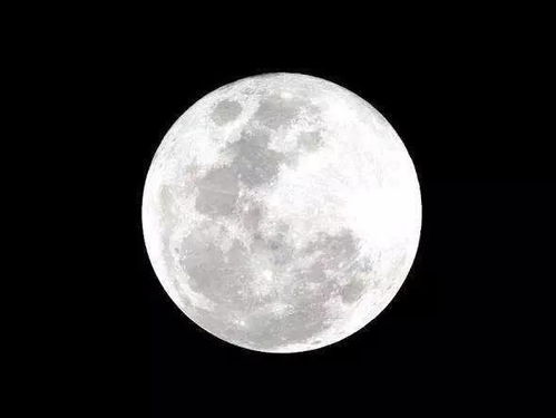 人类月球日丨月球冷知识知多少 