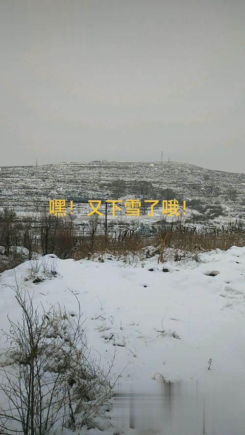 下雪了 你喜欢下雪吗 