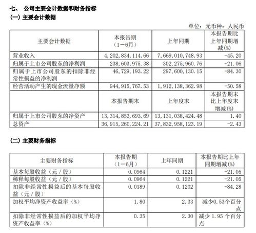 上海大名城上半年营收42.03亿元,同比下降45.20